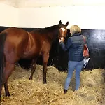 Bed & Breakfast Decouverte D'un Haras Proche Du Mont St Michel