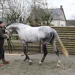 Bed & Breakfast Decouverte D'un Haras Proche Du Mont St Michel