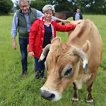 Bed & Breakfast Decouverte D'un Haras Proche Du Mont St Michel
