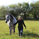Decouverte D'un Haras Proche Du Mont St Michel Bed & Breakfast Hambye