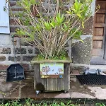 Bed & Breakfast Decouverte D'un Haras Proche Du Mont St Michel