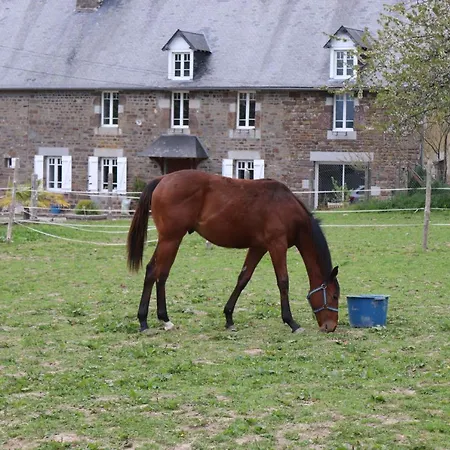 Decouverte D'un Haras Proche Du Mont St Michel Hambye