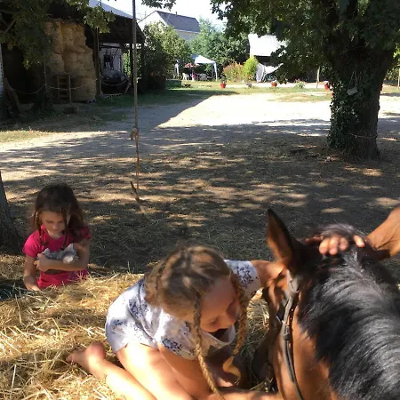 Decouverte D'un Haras Proche Du Mont St Michel 3*