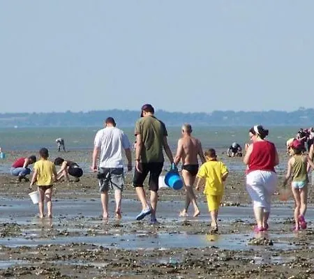 Decouverte D'un Haras Proche Du Mont St Michel