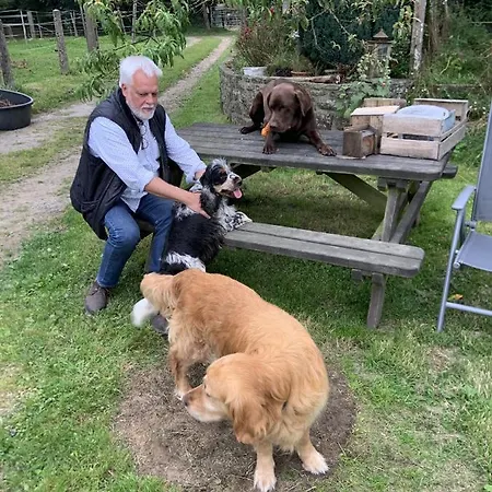 Decouverte D'un Haras Proche Du Mont St Michel Hambye