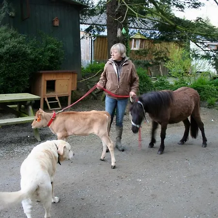 Decouverte D'un Haras Proche Du Mont St Michel *