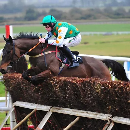 Decouverte D'un Haras Proche Du Mont St Michel 3*