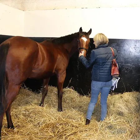 Bed & Breakfast Decouverte D'un Haras Proche Du Mont St Michel