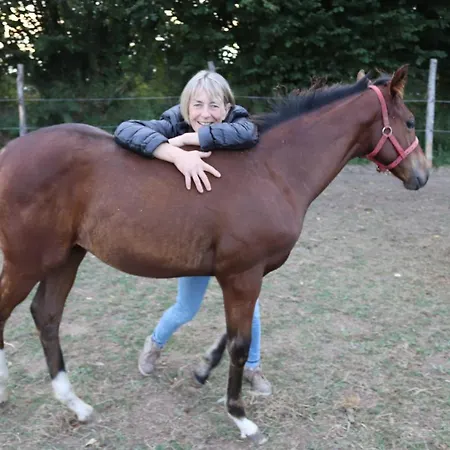 Decouverte D'un Haras Proche Du Mont St Michel *