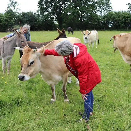 Decouverte D'un Haras Proche Du Mont St Michel *