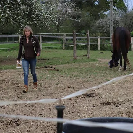 Decouverte D'un Haras Proche Du Mont St Michel Hambye