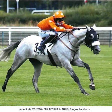 Decouverte D'un Haras Proche Du Mont St Michel Отель типа 
