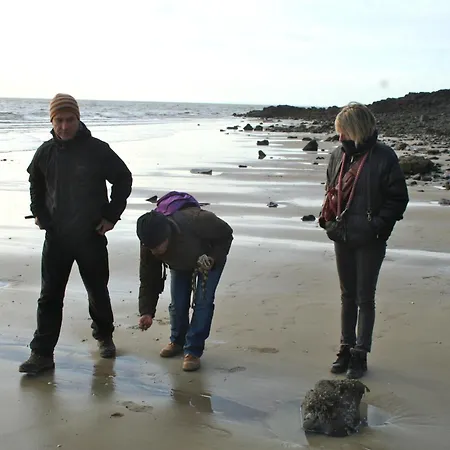 Decouverte D'un Haras Proche Du Mont St Michel 3* Hambye