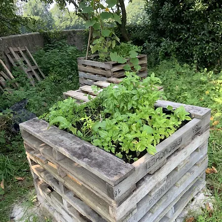 Decouverte D'un Haras Proche Du Mont St Michel Hambye