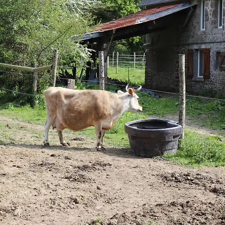 Découverte D'un Haras Proche Du Mont St Michel 3*