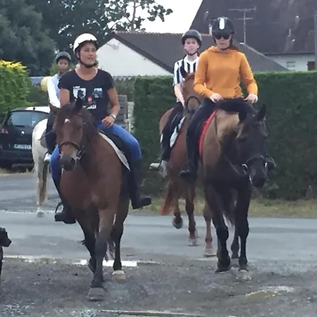 Bed & Breakfast Decouverte D'un Haras Proche Du Mont St Michel *