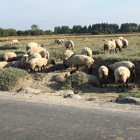 Decouverte D'un Haras Proche Du Mont St Michel Отель типа 