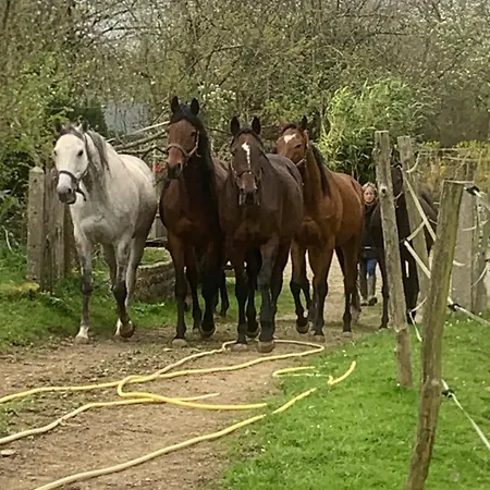 Couette-café Écolodge du Mont Saint Michel