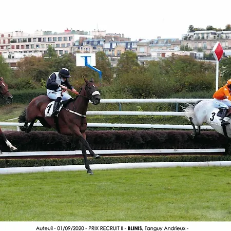 Bed & Breakfast Découverte D'un Haras Proche Du Mont St Michel Hambye