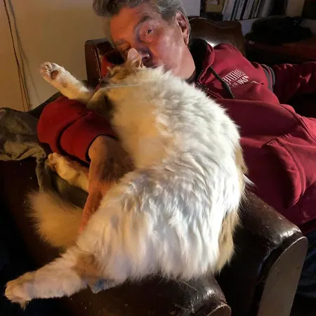 Decouverte D'un Haras Proche Du Mont St Michel Bed & Breakfast Hambye