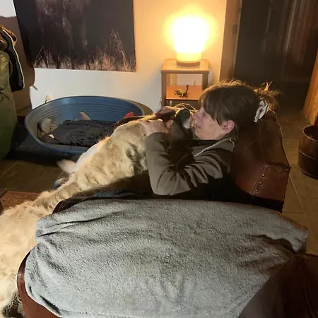 Decouverte D'un Haras Proche Du Mont St Michel 3*