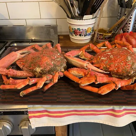 Decouverte D'un Haras Proche Du Mont St Michel