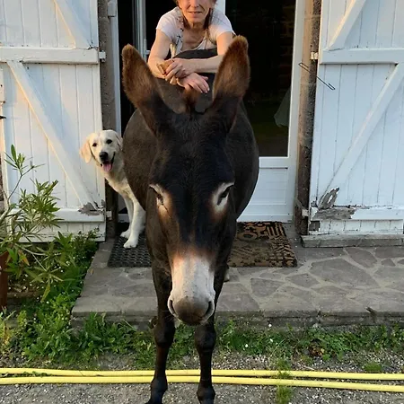 Decouverte D'un Haras Proche Du Mont St Michel Nocleg ze śniadaniem Hambye