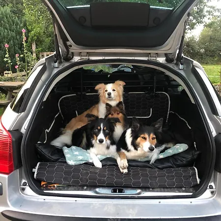 Decouverte D'un Haras Proche Du Mont St Michel Hambye