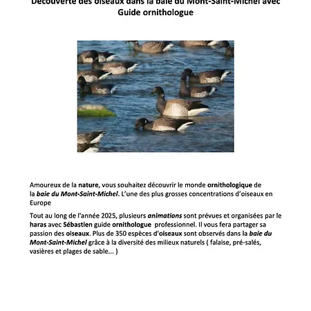 Decouverte D'un Haras Proche Du Mont St Michel Bed & Breakfast Hambye