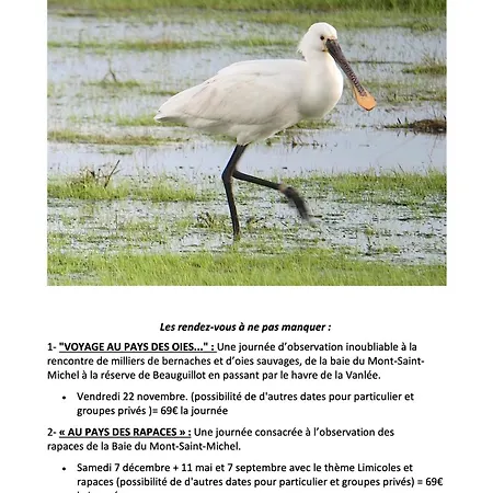 Decouverte D'un Haras Proche Du Mont St Michel Bed & Breakfast *